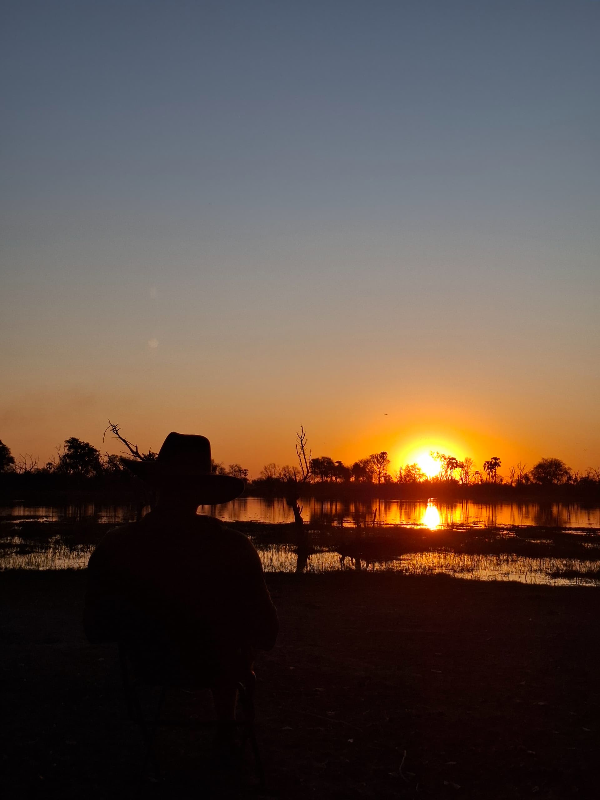 Wildlife in Botswana